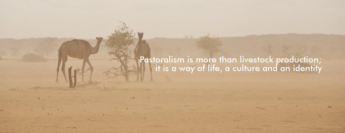 pastoralismo